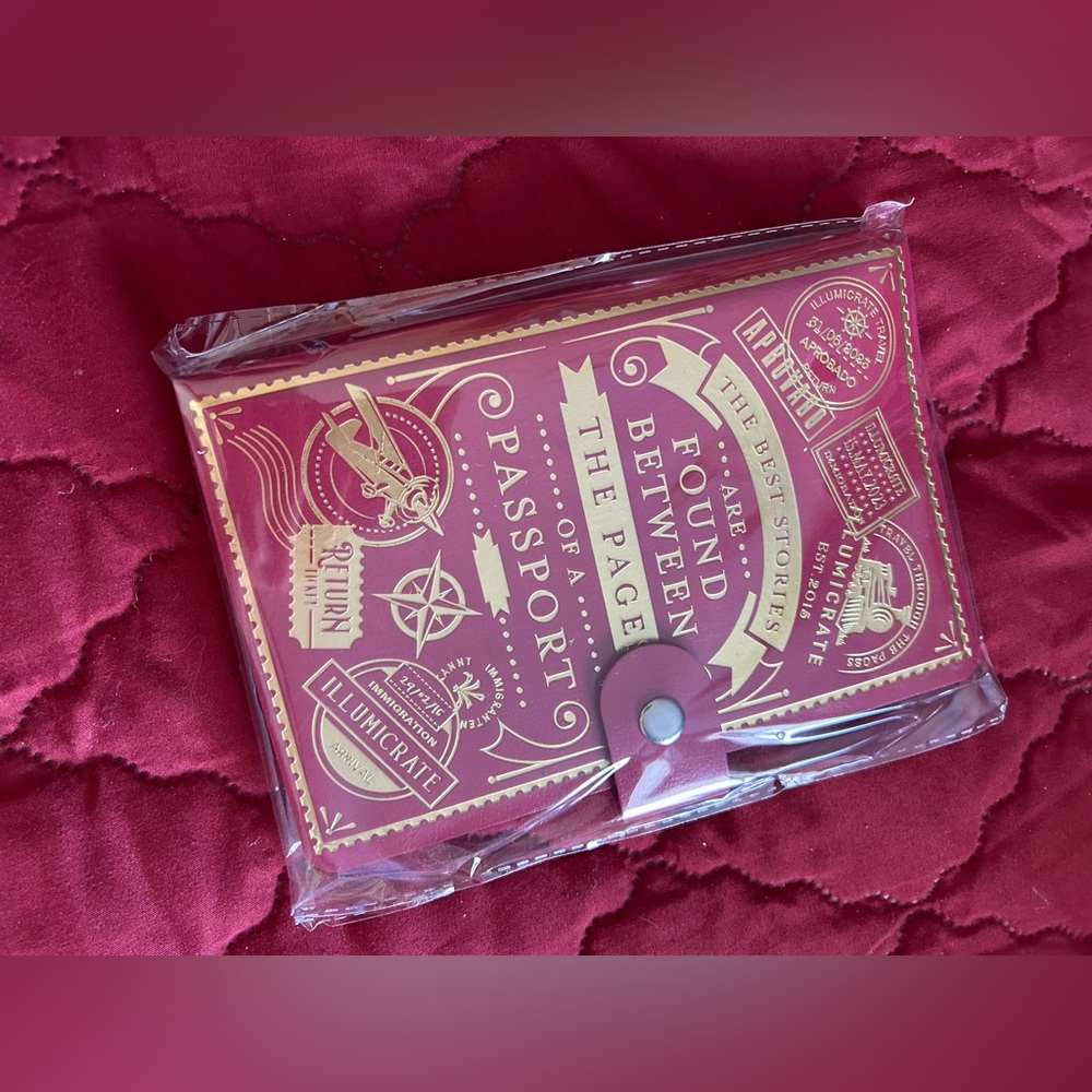 Illumicrate January 2024 Reusable Sticker Book
